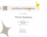 plamen_bozhinov_3